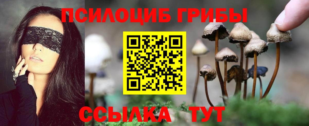 Галлюциногенные грибы ЛСД  Галлюциногенные грибы мухоморы  Гатчина  Вход с VPN 